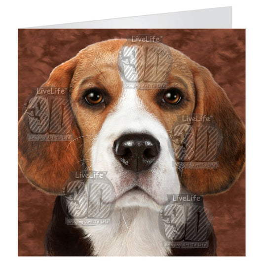 3D LiveLife Greetings Cards - Beagle
