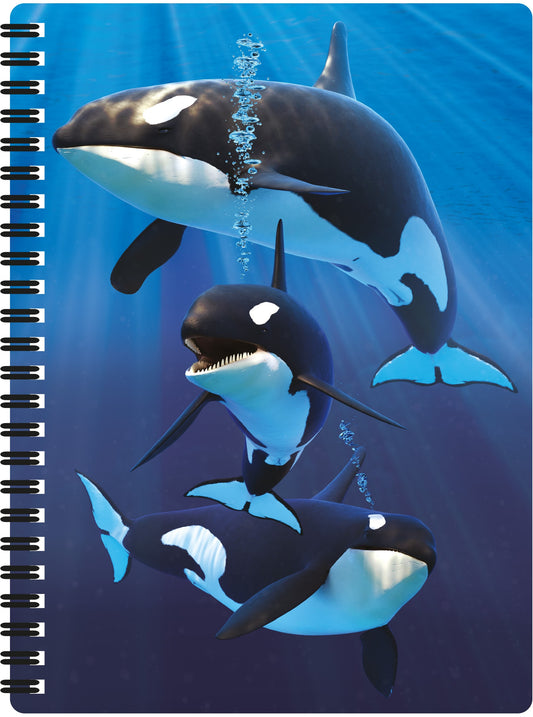 3D LiveLife Notebooks - Orcas