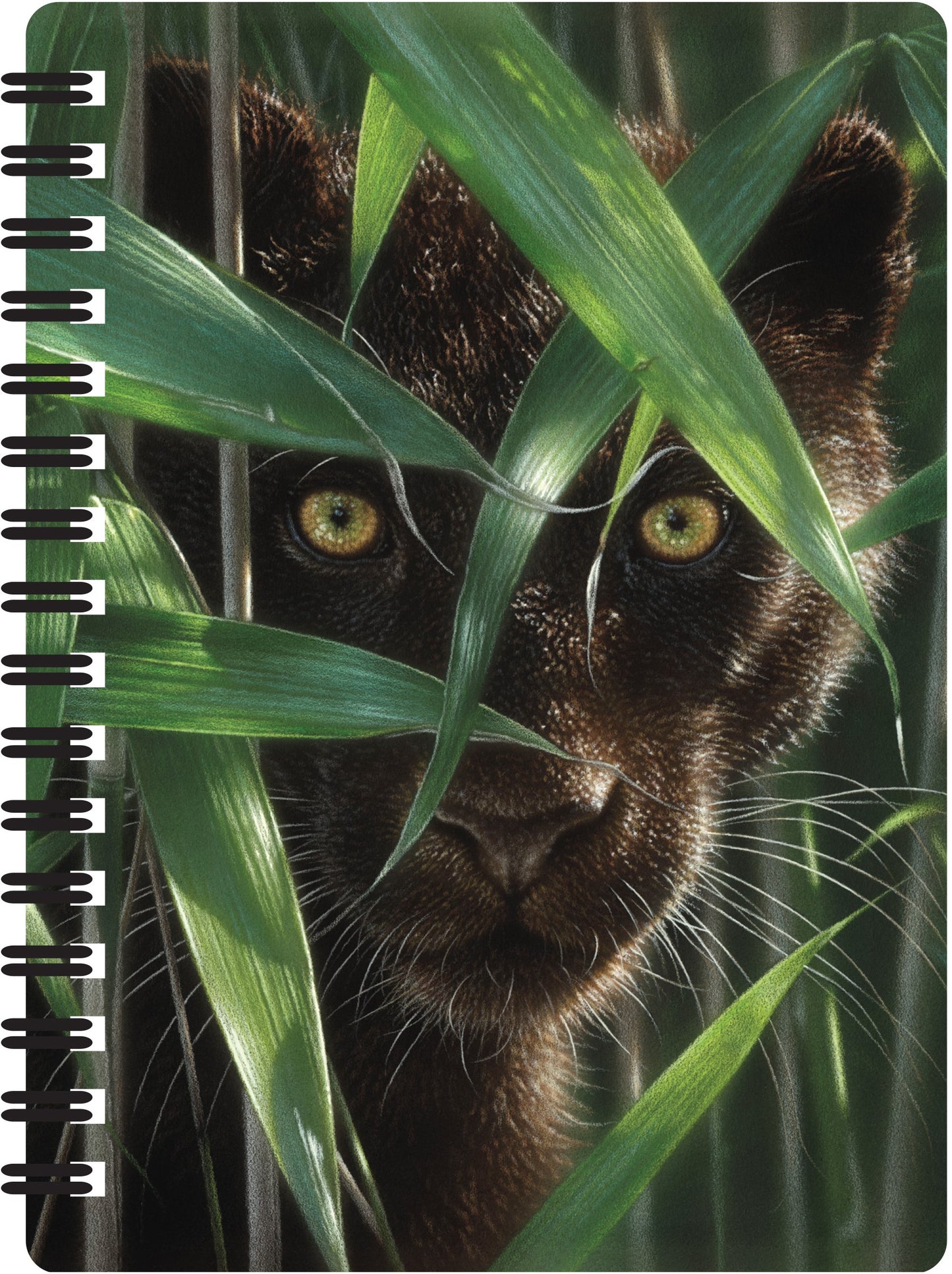 3D LiveLife Jotters - Wild Eyes