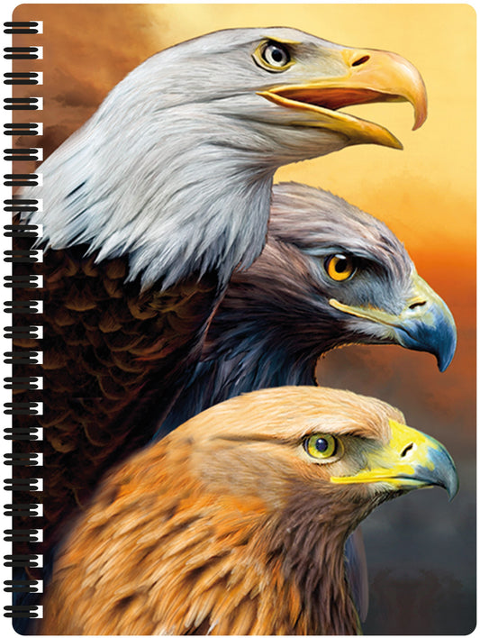 3D LiveLife Notebooks - Three Eagles