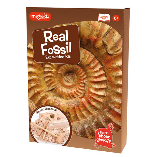 SC250 MAGNOIDZ Fossil Dig Kit