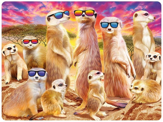 3D LiveLife Postcards - Cool Meerkats