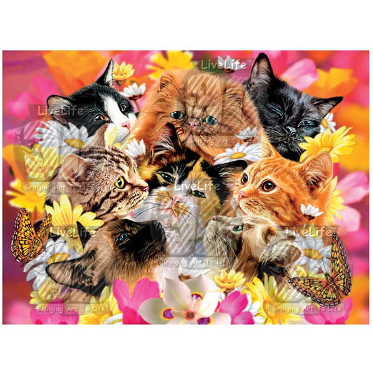 3D LiveLife Pictures - Cats