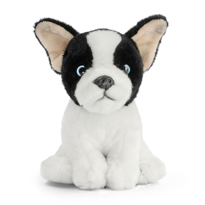 AN776 French Bulldog Puppy Black and White