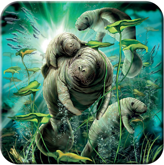 3D LiveLife Coasters - Manatees