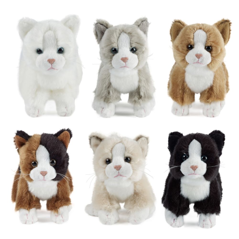 AN147 Cat Small 16cm