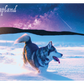 Husky and a shooting star 3D magnet FIN LAP
