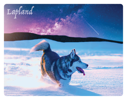 Husky and a shooting star 3D magnet FIN LAP