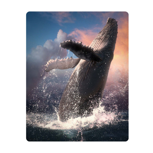 3D LiveLife Postcards - Whale Jump