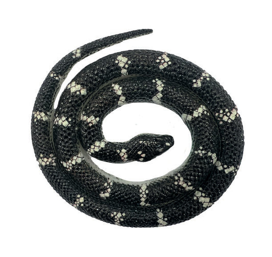Snakes of the World Small - Reticulated Python