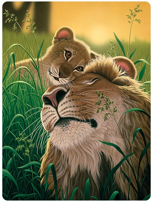 3D LiveLife Postcards - A Father's Love