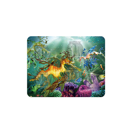 3D LiveLife Magnets - Here Be Dragons