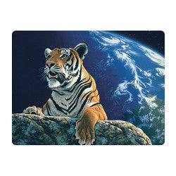 3D LiveLife Postcards - Only One Home