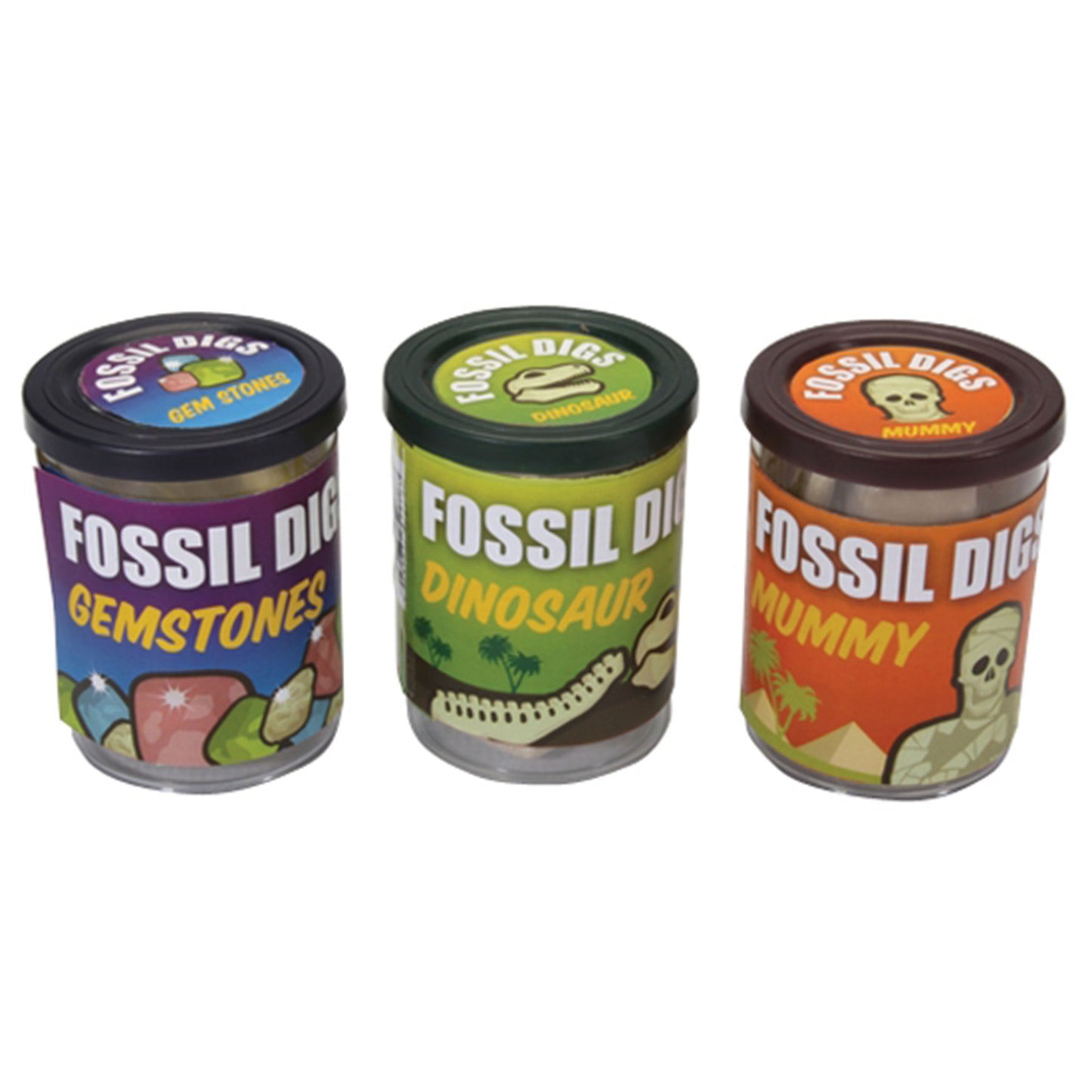 SC53 Assorted Fossil Dig in Tub
