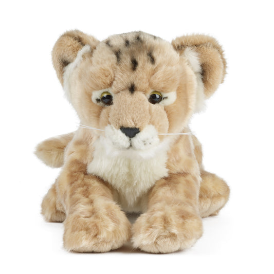 AN322 Lion Cub 35cm