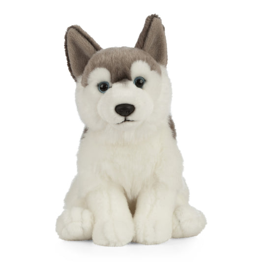 AN461 Husky 20cm