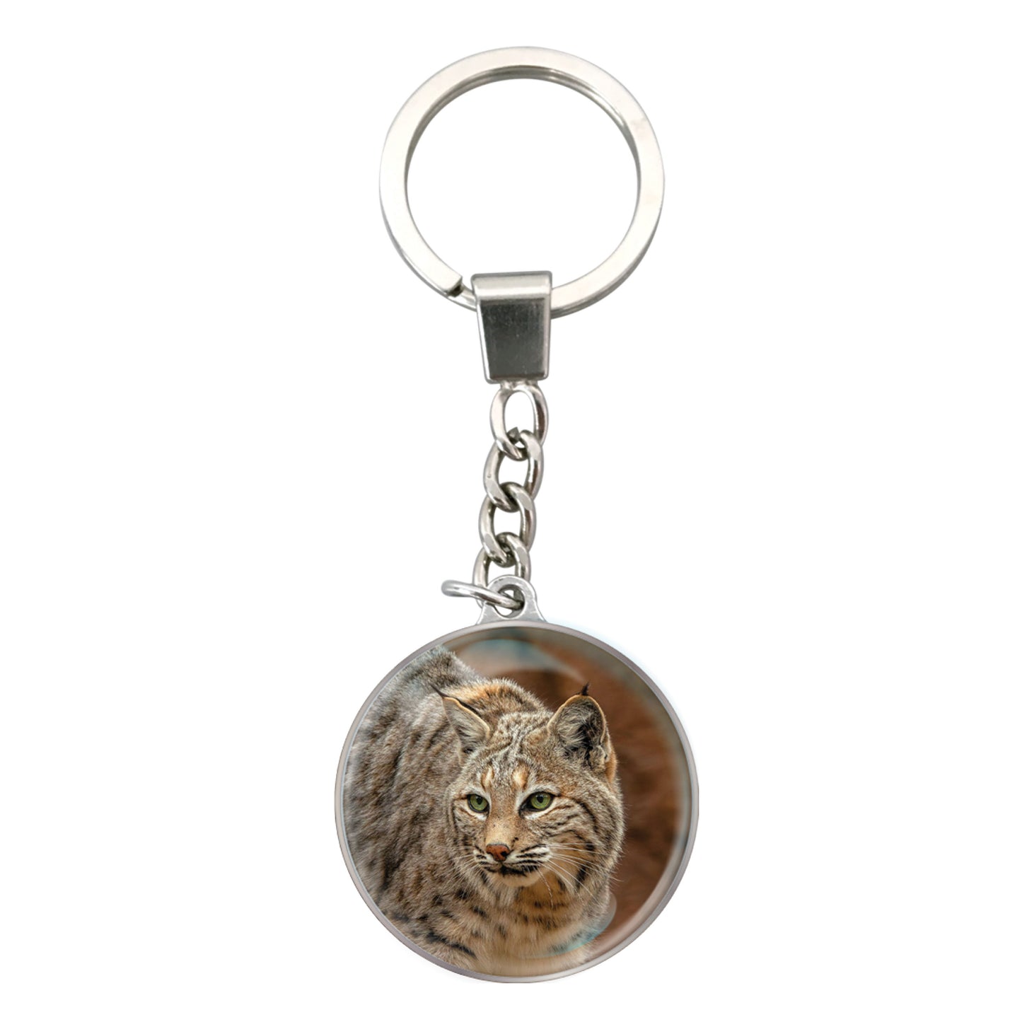 Magnidome Keychains - Bobcat