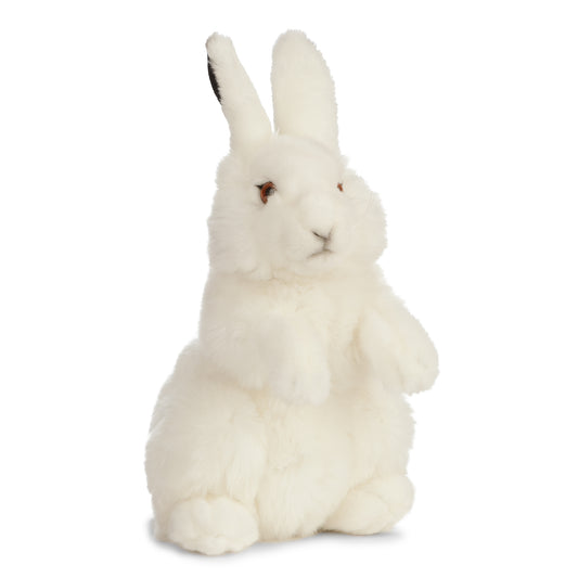 AN477 Arctic Hare 30cm