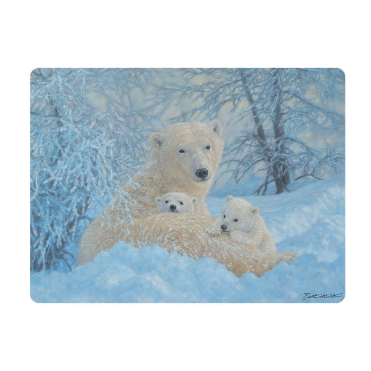 3D LiveLife Postcards - Northern Family
