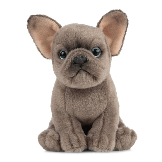 AN437 French Bulldog Puppy 16cm