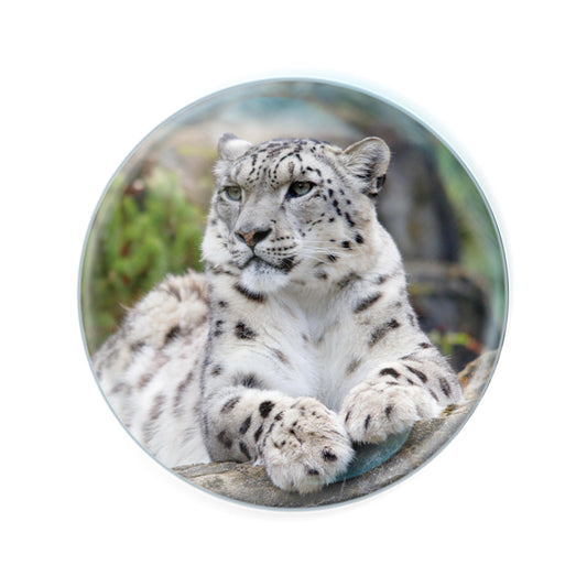 Magnidomes - Snow Leopard