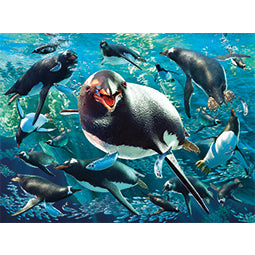 3D LiveLife Pictures - Gentoo Penguin