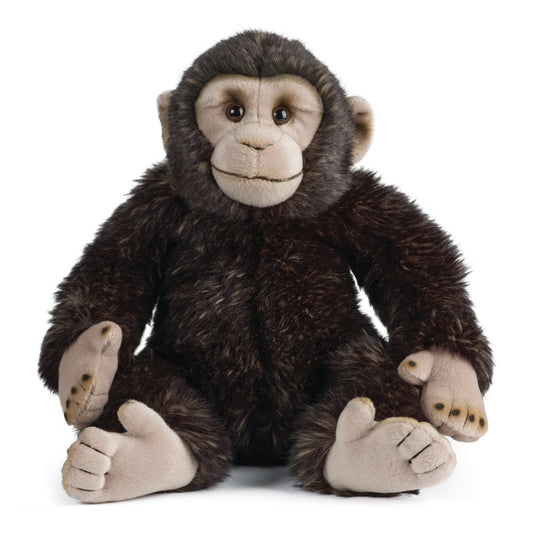 AN333 Chimp 30cm