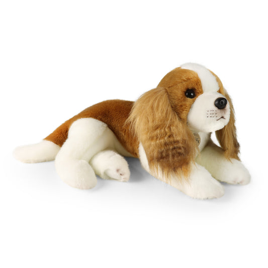 Plush King Charles 40 cm