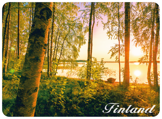 3D magneetti Metsä ja Järvi FIN