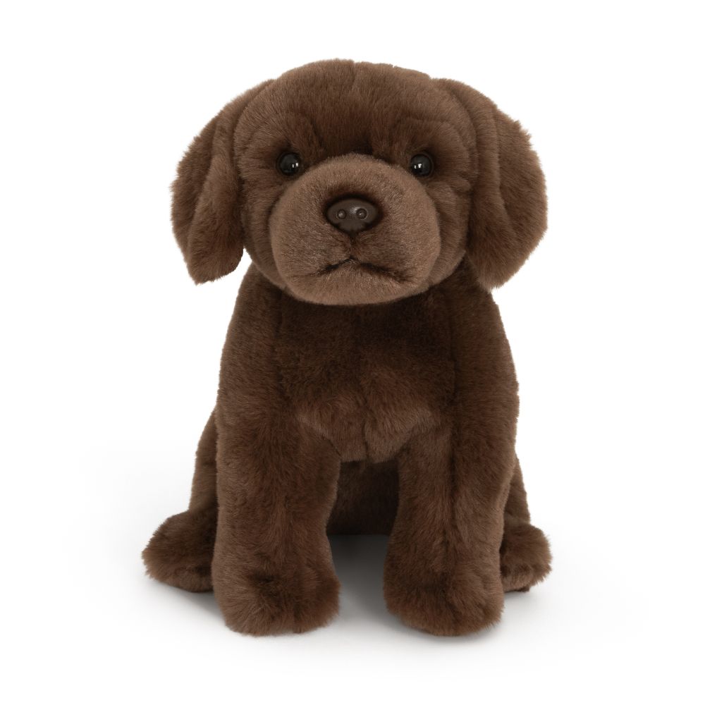 AN458-SS Super Soft Chocolate Labrador