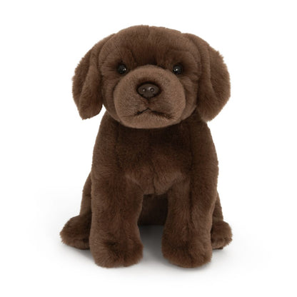 AN458-SS Super Soft Chocolate Labrador
