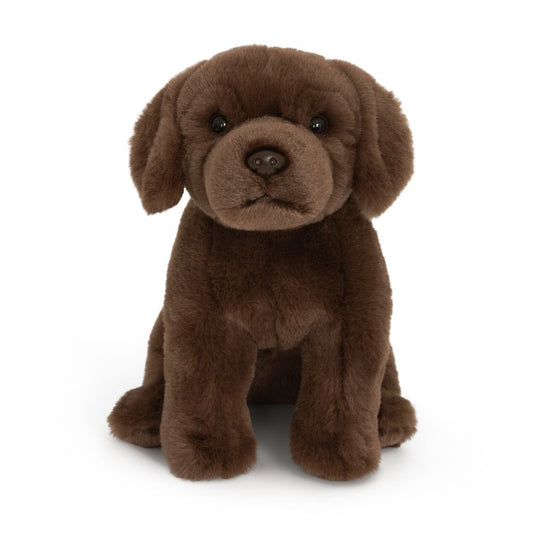 AN458-SS Super Soft Chocolate Labrador