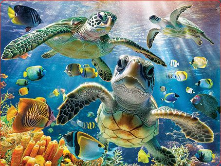 3D LiveLife Postcards - Sea Turtle Trio