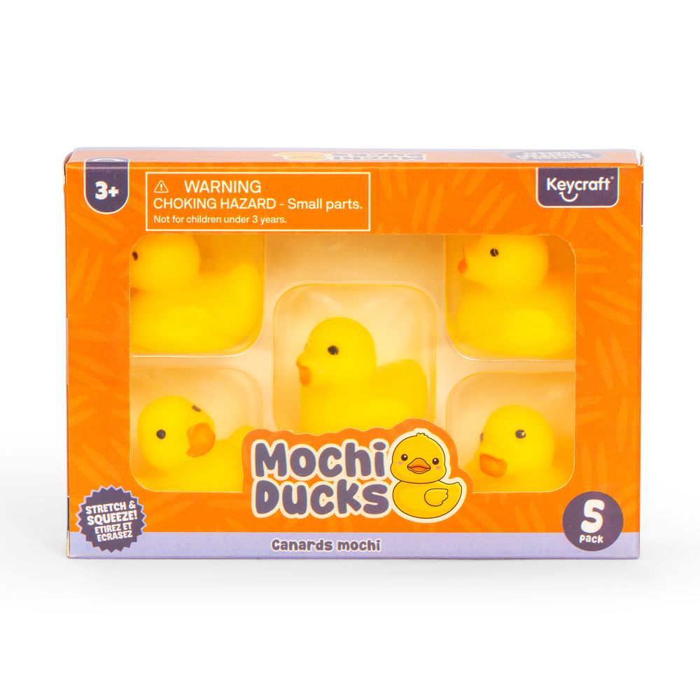 NV927 Squishy Mochi Ducks in box