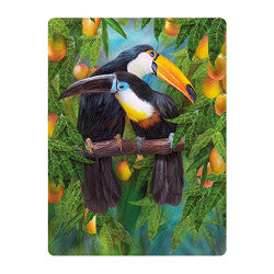 3D LiveLife Postcards - Tropic Spirits Toucans
