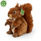 Plush squirrel 21 cm