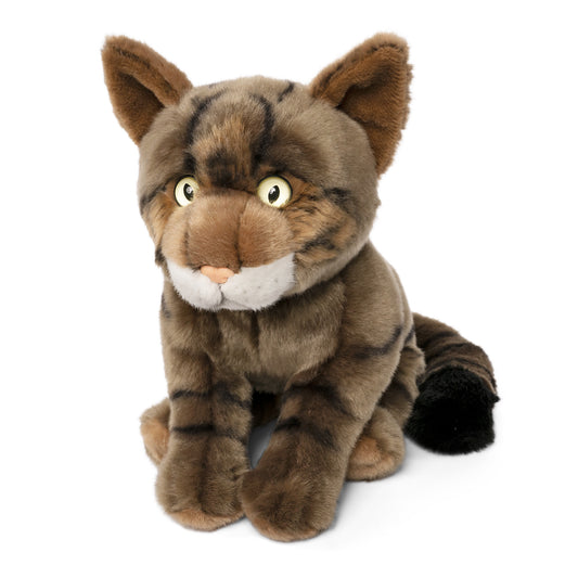 AN725 Scottish Wildcat 24cm