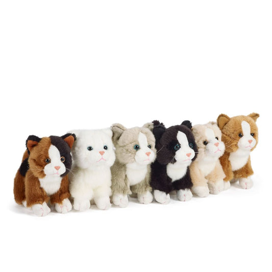 AN147 Cat Small 16cm