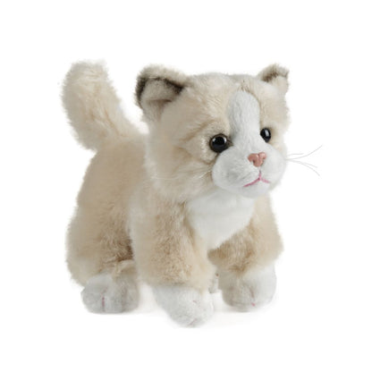 AN147 Cat Small 16cm