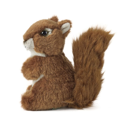 AN48 Squirrel Medium 14cm