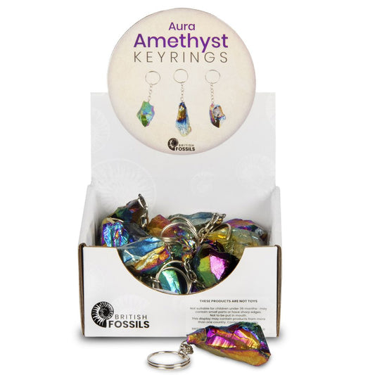 RM107 Aura Amethyst Keyrings