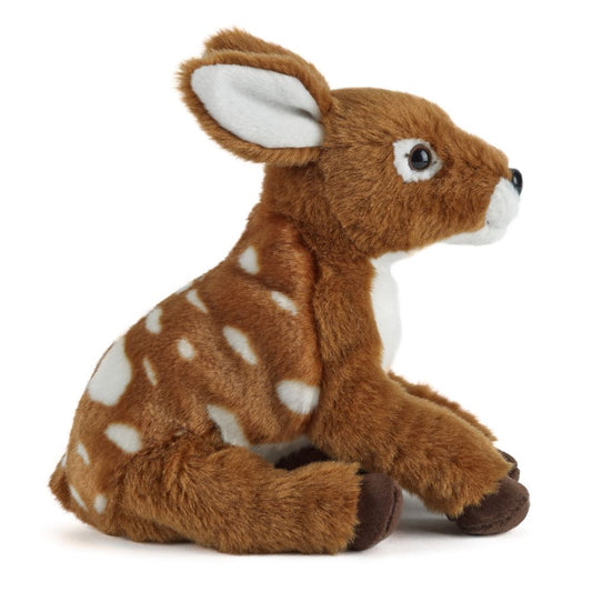 AN360 Fawn 21cm
