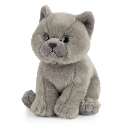 AN447 British Grey Shorthair Kitten 16cm