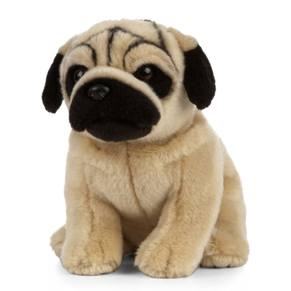 AN454 Pug 20cm