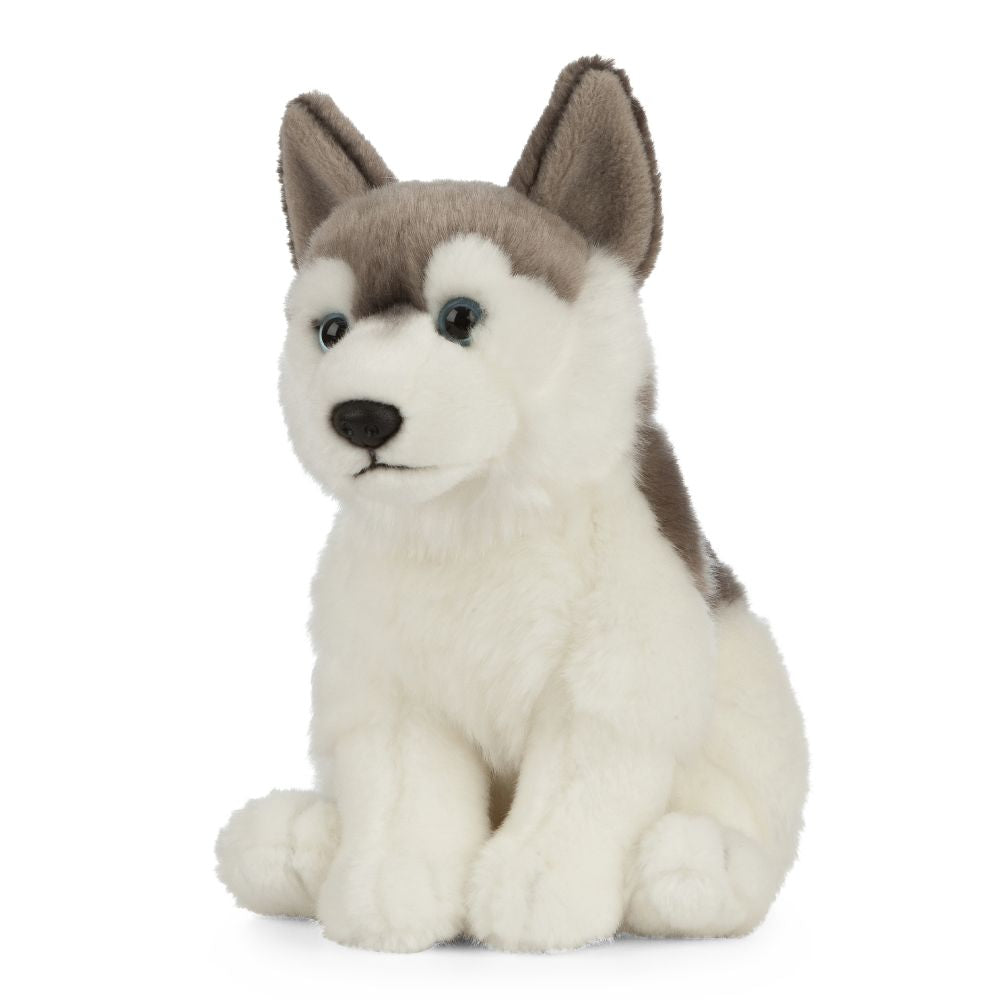 AN461 Husky 20cm