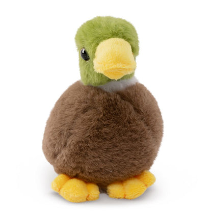 AN514 LITTLE Mallard Duck 15cm