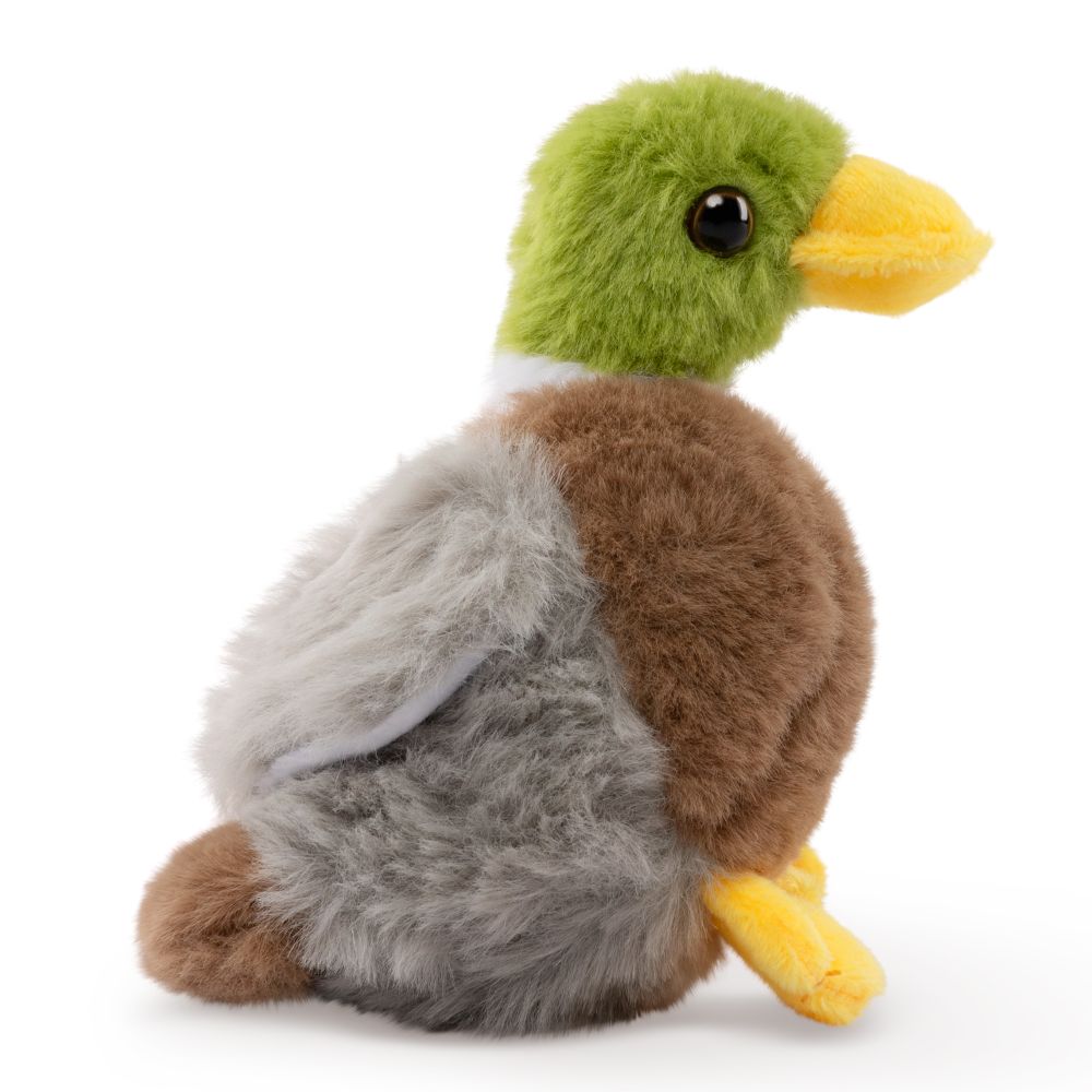 AN514 LITTLE Mallard Duck 15cm