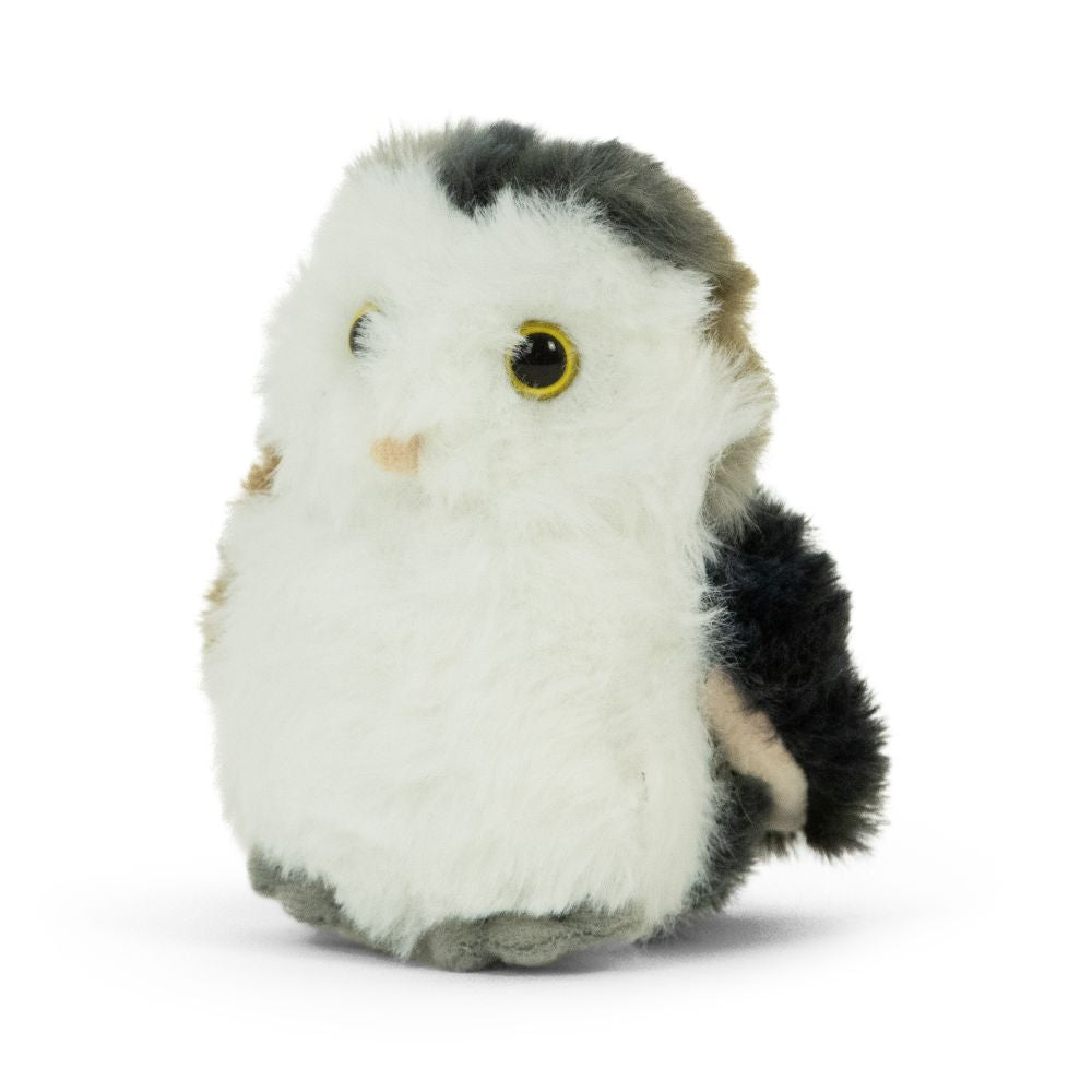 AN518 LITTLE Barn Owl 15cm