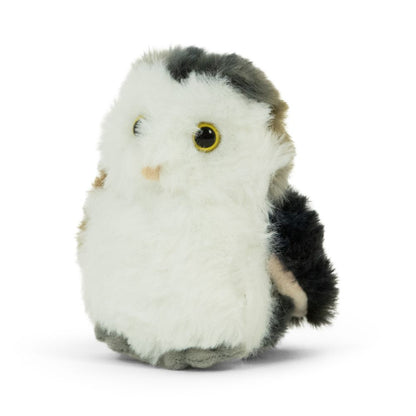 AN518 LITTLE Barn Owl 15cm