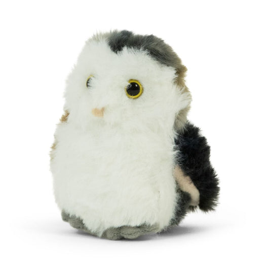 AN518 LITTLE Barn Owl 15cm